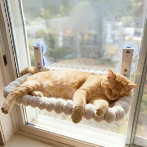 Cat Window Hammock with Suction Cups - UV Resistant Pet Perch
