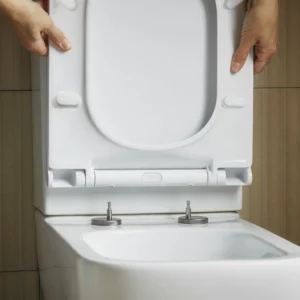 Quick-Release Soft-Close Toilet Seat (Universal)